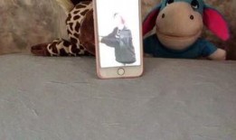 吃瓜娱乐呱,揭秘娱乐圈背后的趣味故事