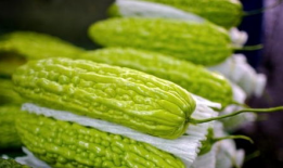 不宜吃凉瓜,凉瓜不宜多吃，了解原因避免健康风险