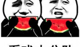 娱乐吃瓜有合集,吃瓜合集，一网打尽热门事件